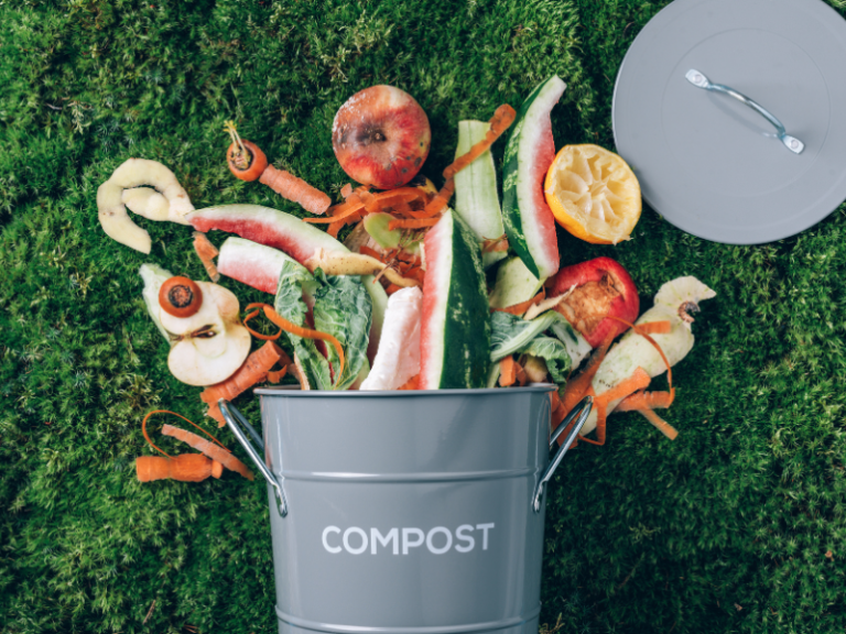 Composting Food: A Beginner’s Guide to Sustainable Waste Management